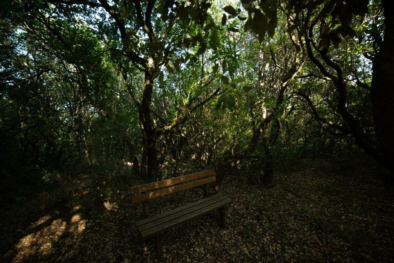 Ágios MatthaíosMenecrates Rustic - San Matteo公寓 外观 照片